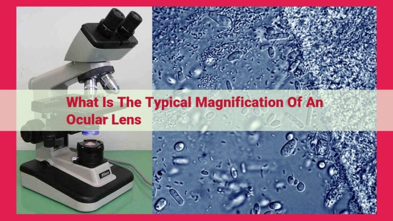 what is the typical magnification of an ocular lens