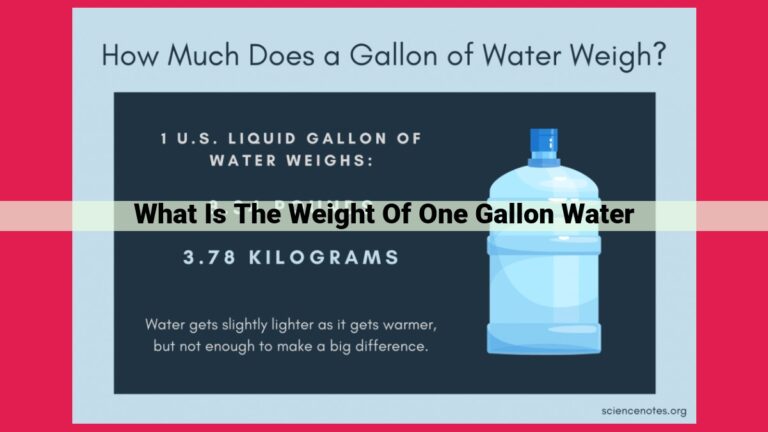 what is the weight of one gallon water