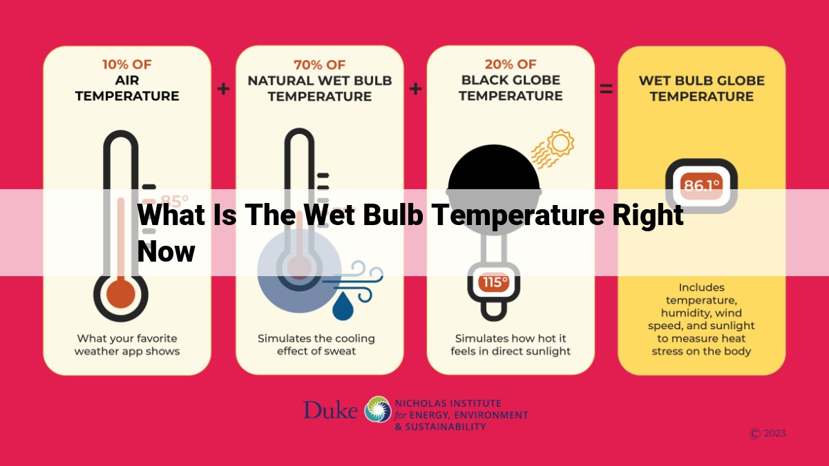 what is the wet bulb temperature right now