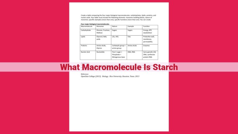 what macromolecule is starch