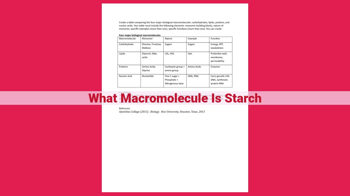 what macromolecule is starch