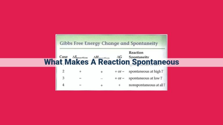 what makes a reaction spontaneous