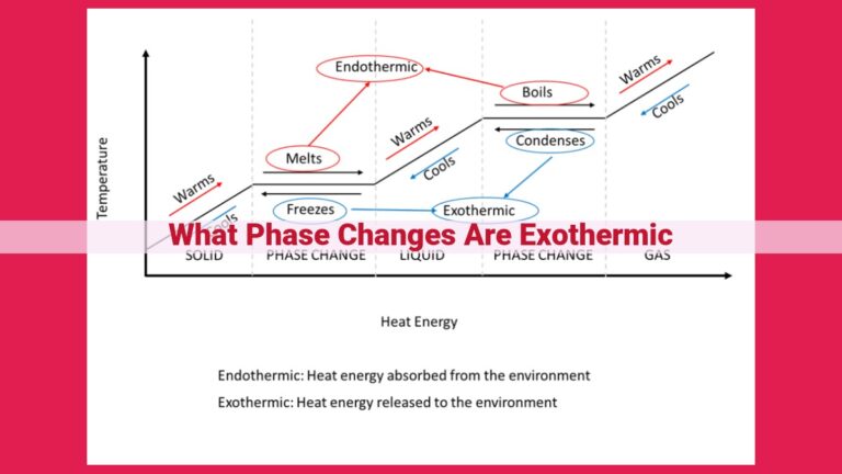 what phase changes are exothermic