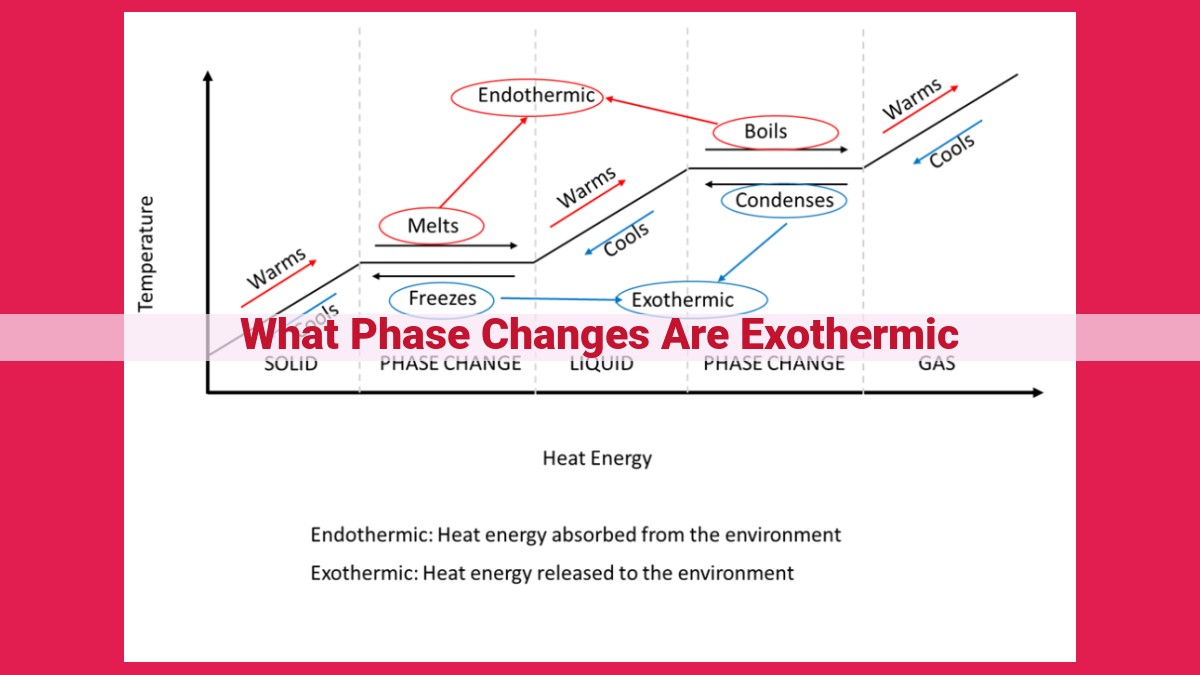 what phase changes are exothermic