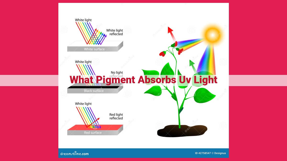 what pigment absorbs uv light