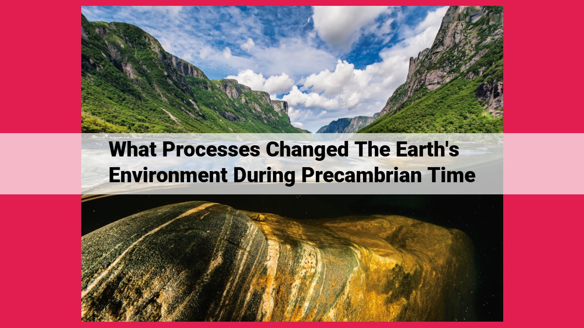 what processes changed the earth's environment during precambrian time