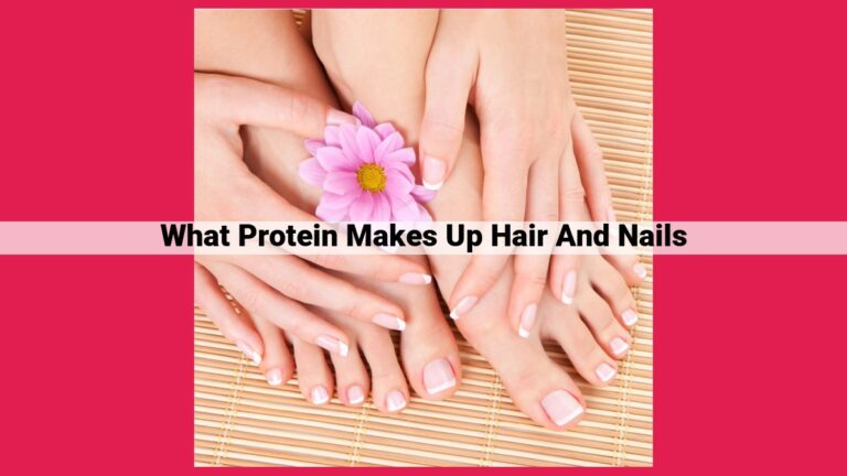 what protein makes up hair and nails