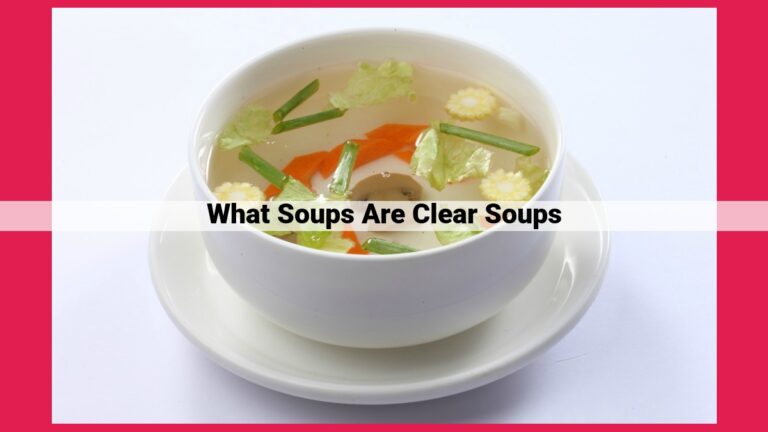 what soups are clear soups