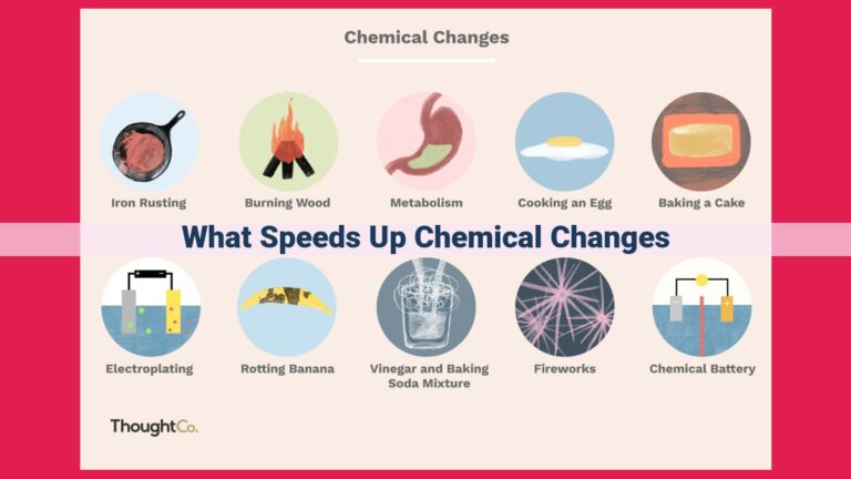 what speeds up chemical changes