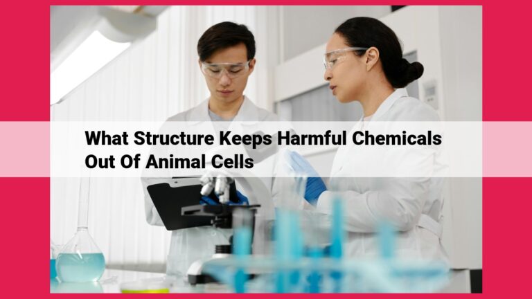 what structure keeps harmful chemicals out of animal cells