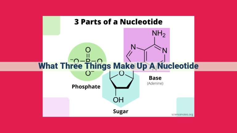 what three things make up a nucleotide