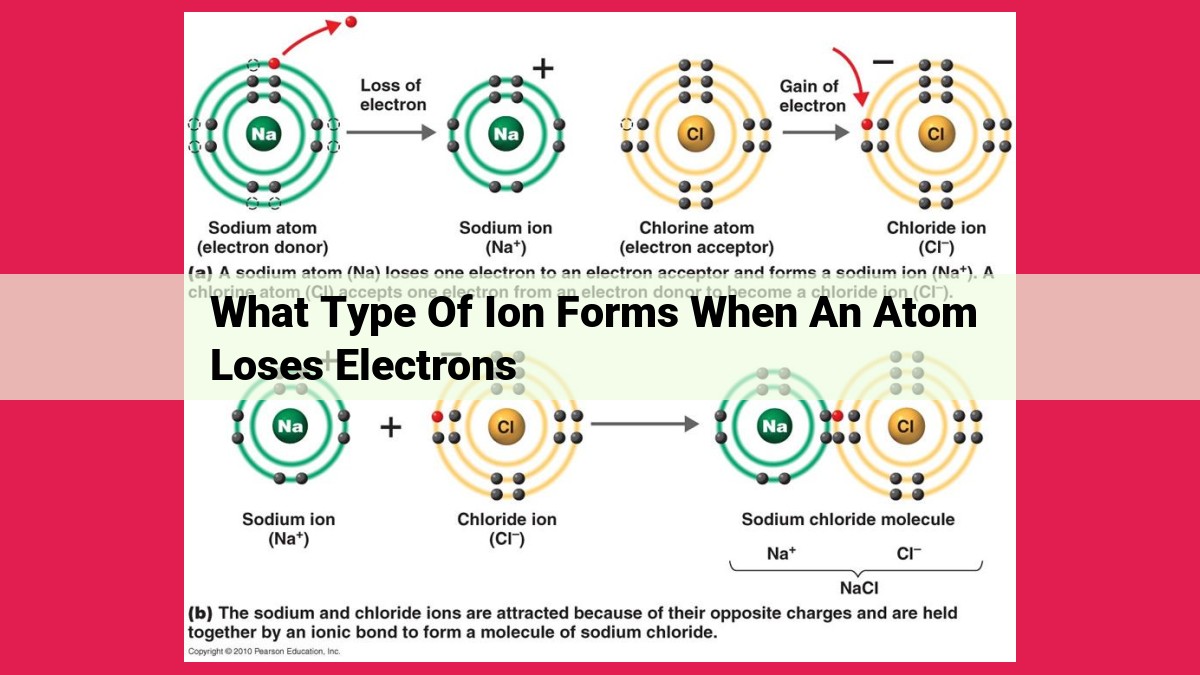 what type of ion forms when an atom loses electrons