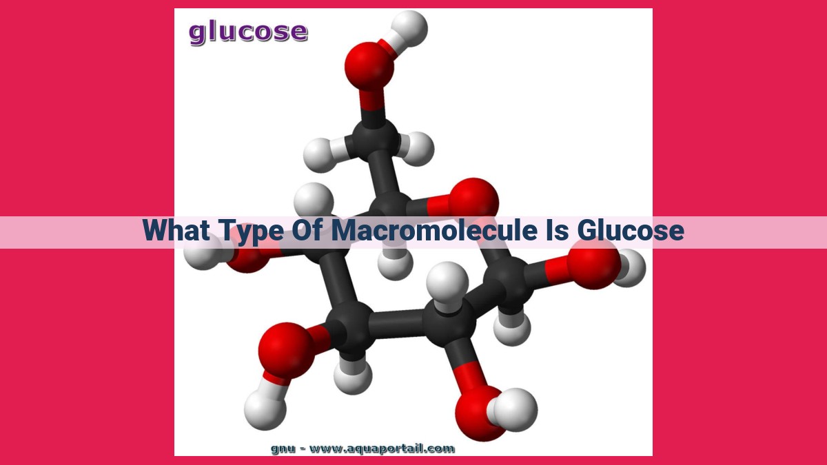 what type of macromolecule is glucose