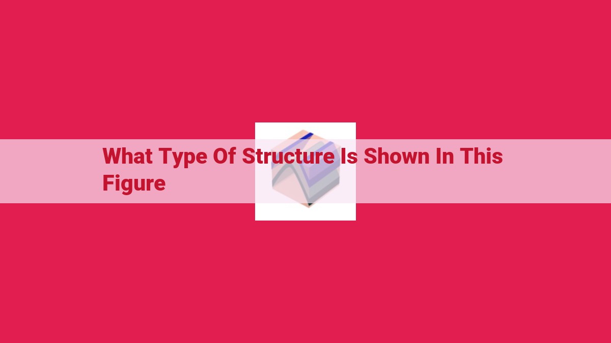 what type of structure is shown in this figure