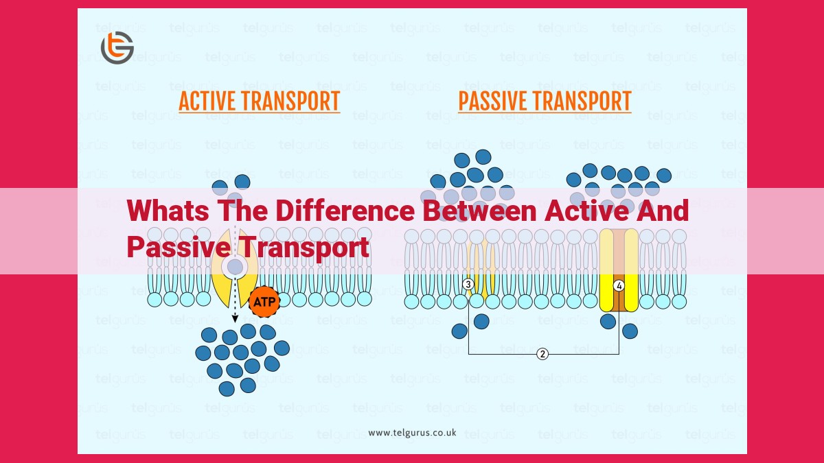 whats the difference between active and passive transport