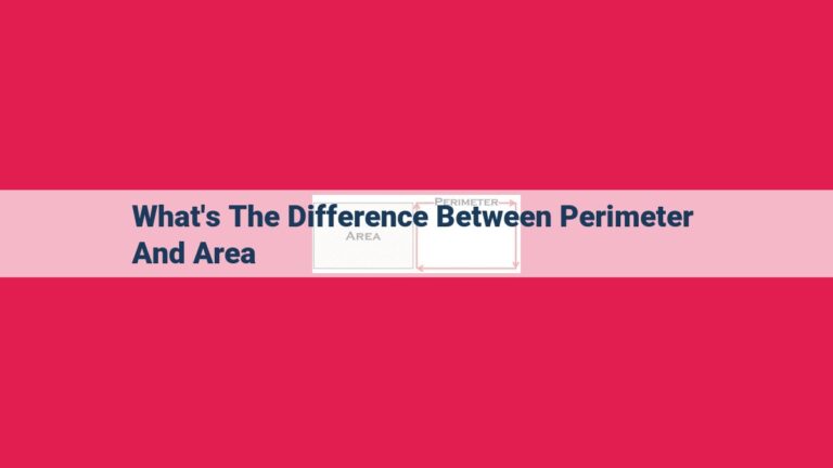 what's the difference between perimeter and area