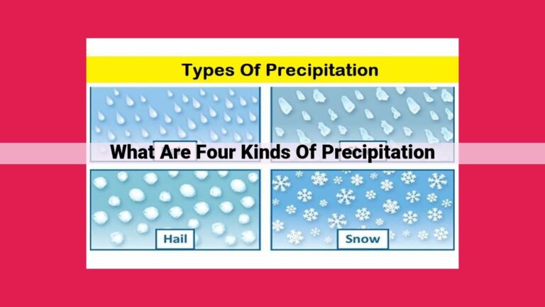 what are four kinds of precipitation