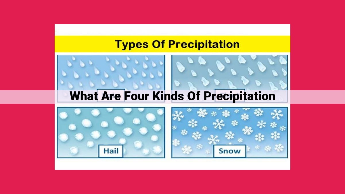 what are four kinds of precipitation