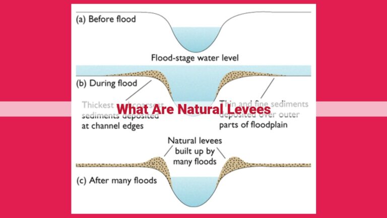 what are natural levees