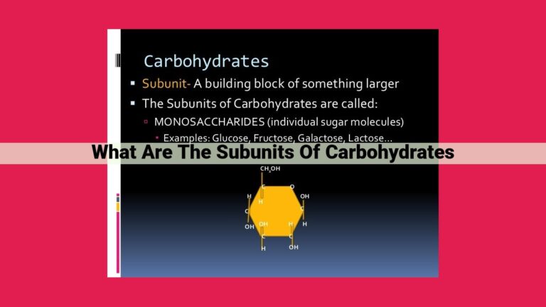 what are the subunits of carbohydrates