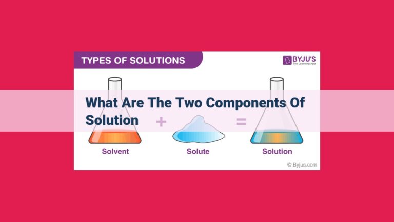 what are the two components of solution