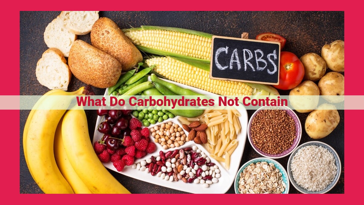 what do carbohydrates not contain