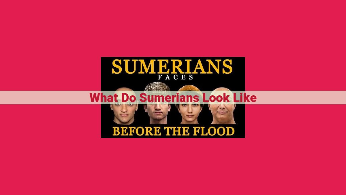 what do sumerians look like