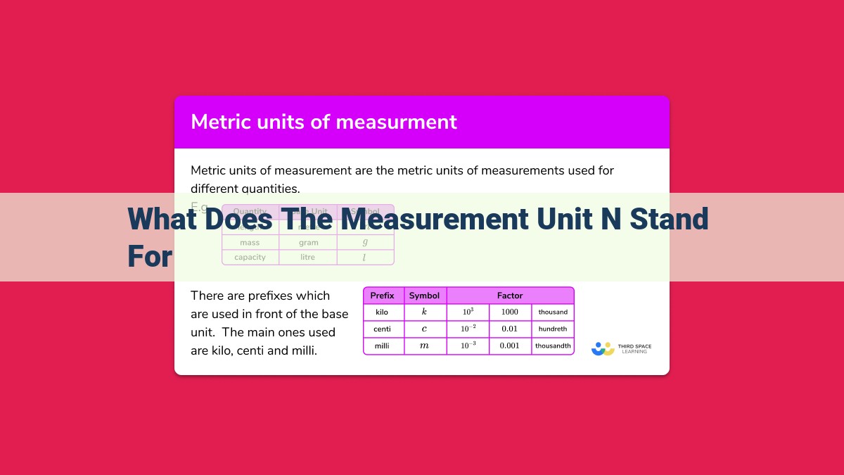 what does the measurement unit n stand for