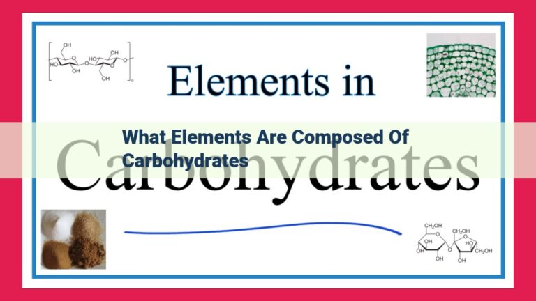 what elements are composed of carbohydrates