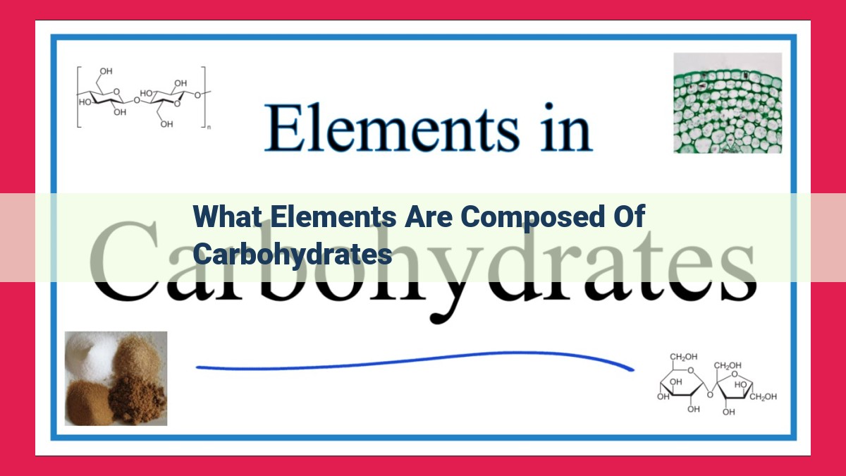 what elements are composed of carbohydrates