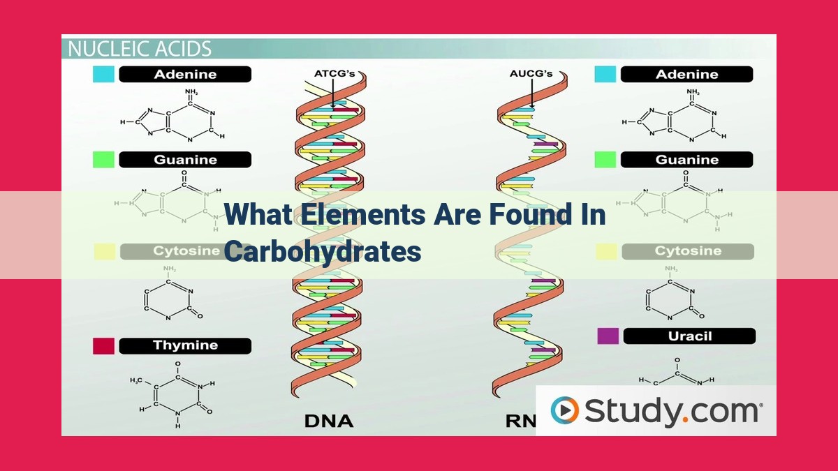 what elements are found in carbohydrates