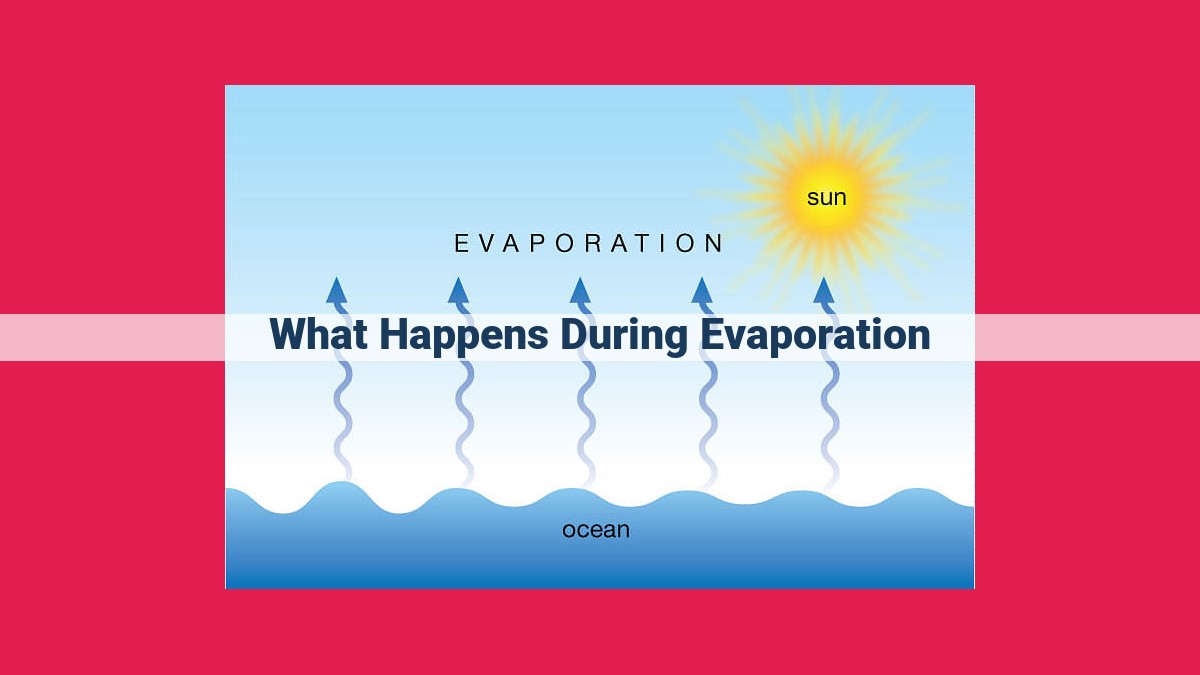 what happens during evaporation