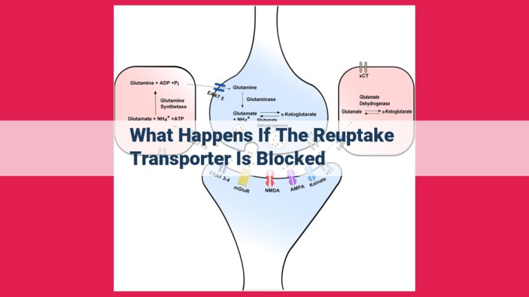 what happens if the reuptake transporter is blocked