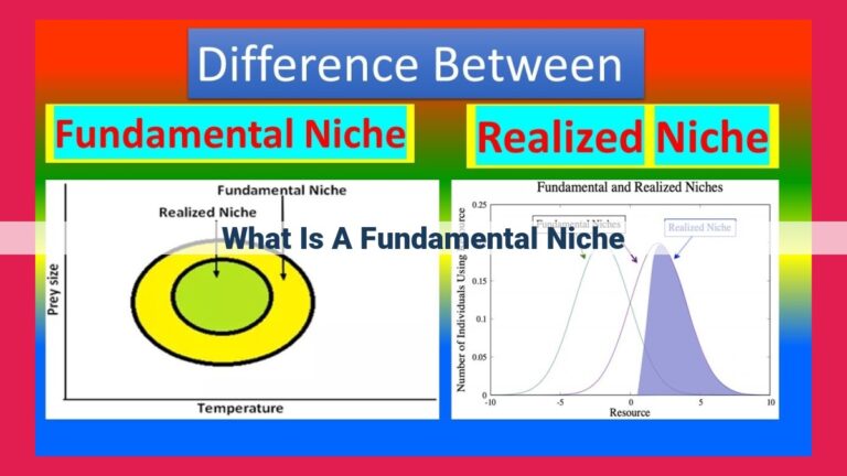 what is a fundamental niche