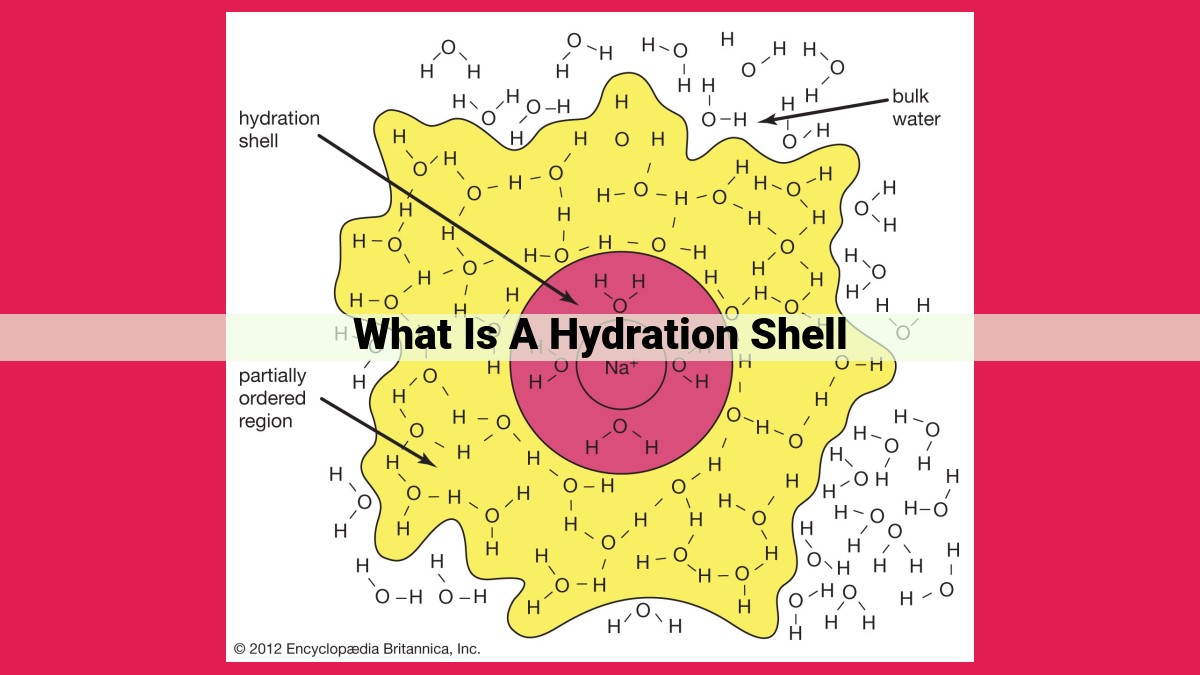 what is a hydration shell