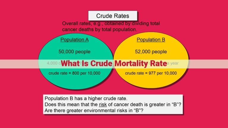 what is crude mortality rate