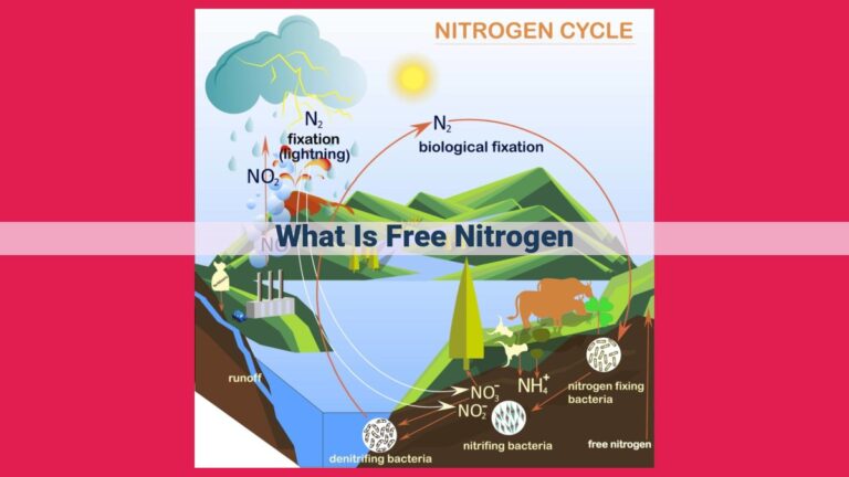 what is free nitrogen