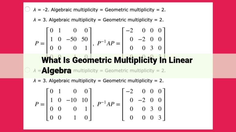 what is geometric multiplicity in linear algebra