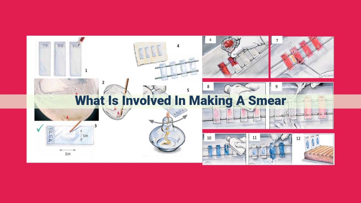 what is involved in making a smear