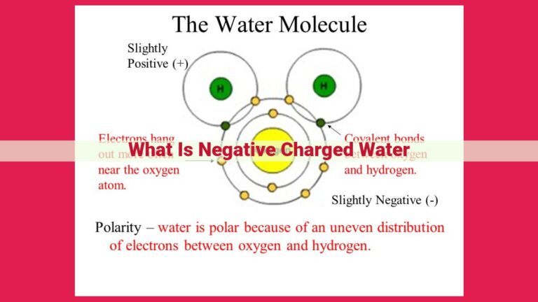 what is negative charged water