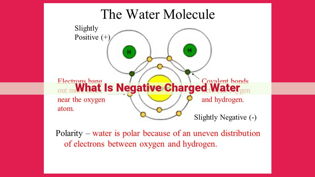 what is negative charged water