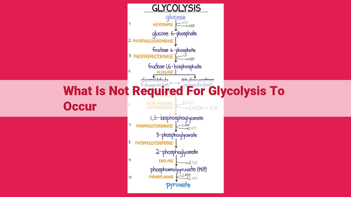 what is not required for glycolysis to occur