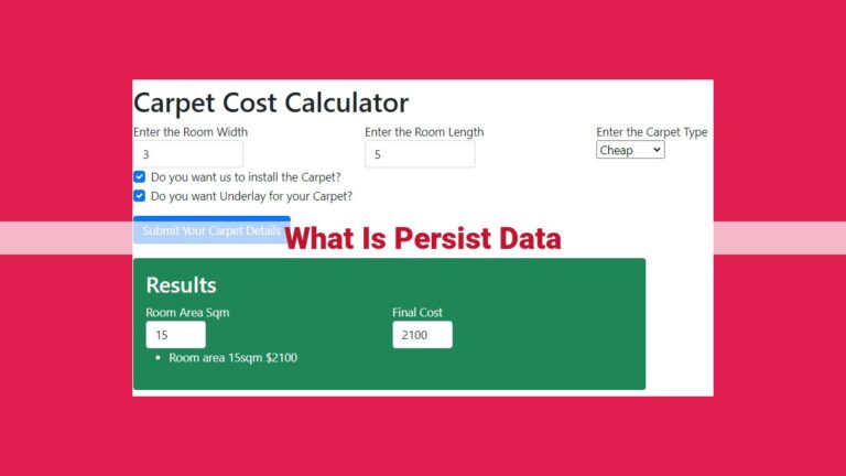 what is persist data