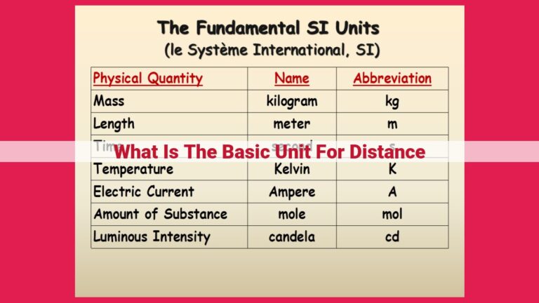 what is the basic unit for distance