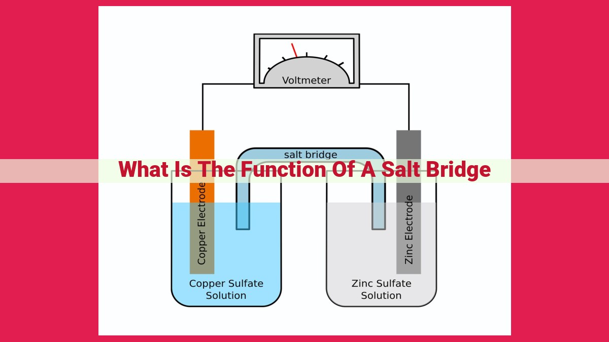 what is the function of a salt bridge