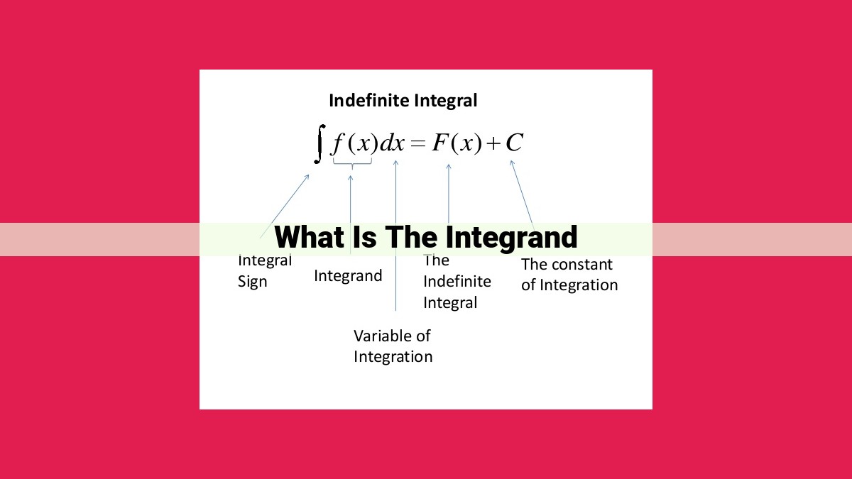 what is the integrand