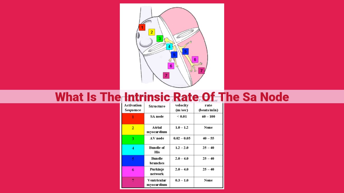 what is the intrinsic rate of the sa node