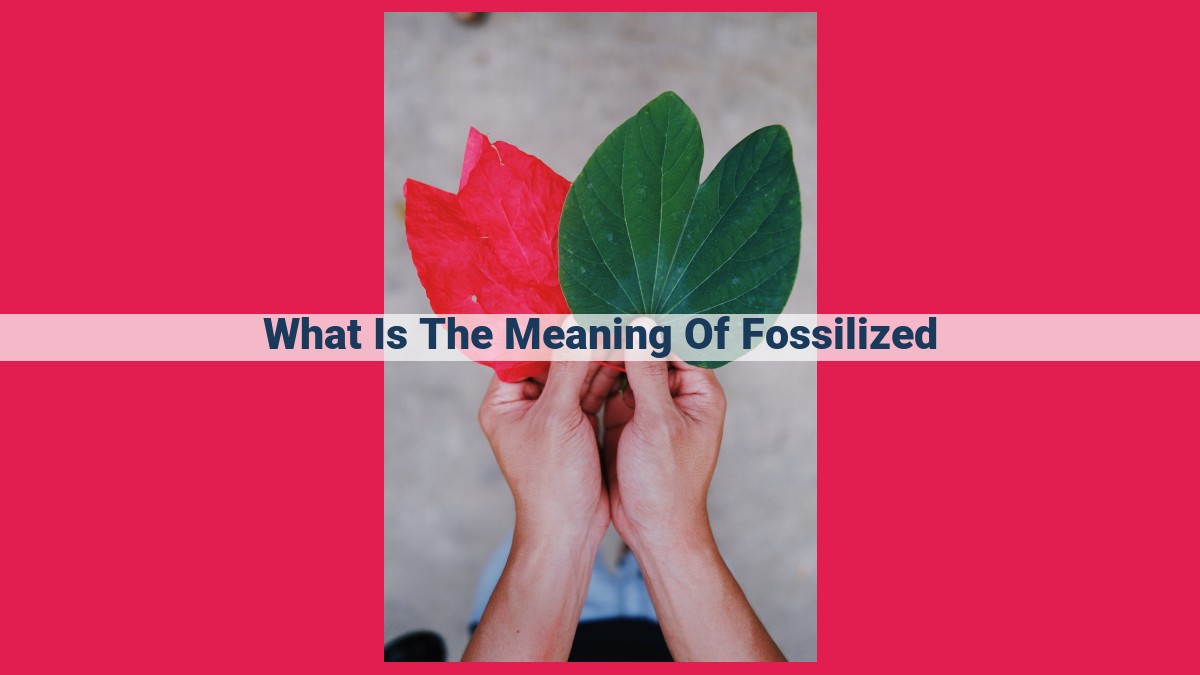 what is the meaning of fossilized