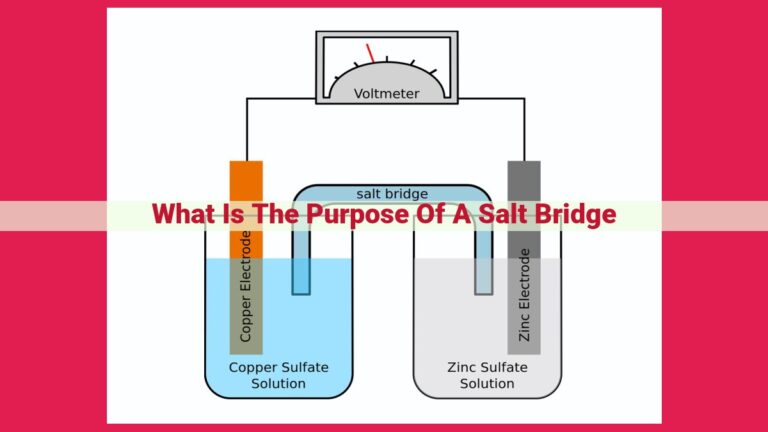 what is the purpose of a salt bridge