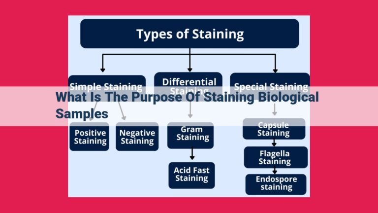 what is the purpose of staining biological samples